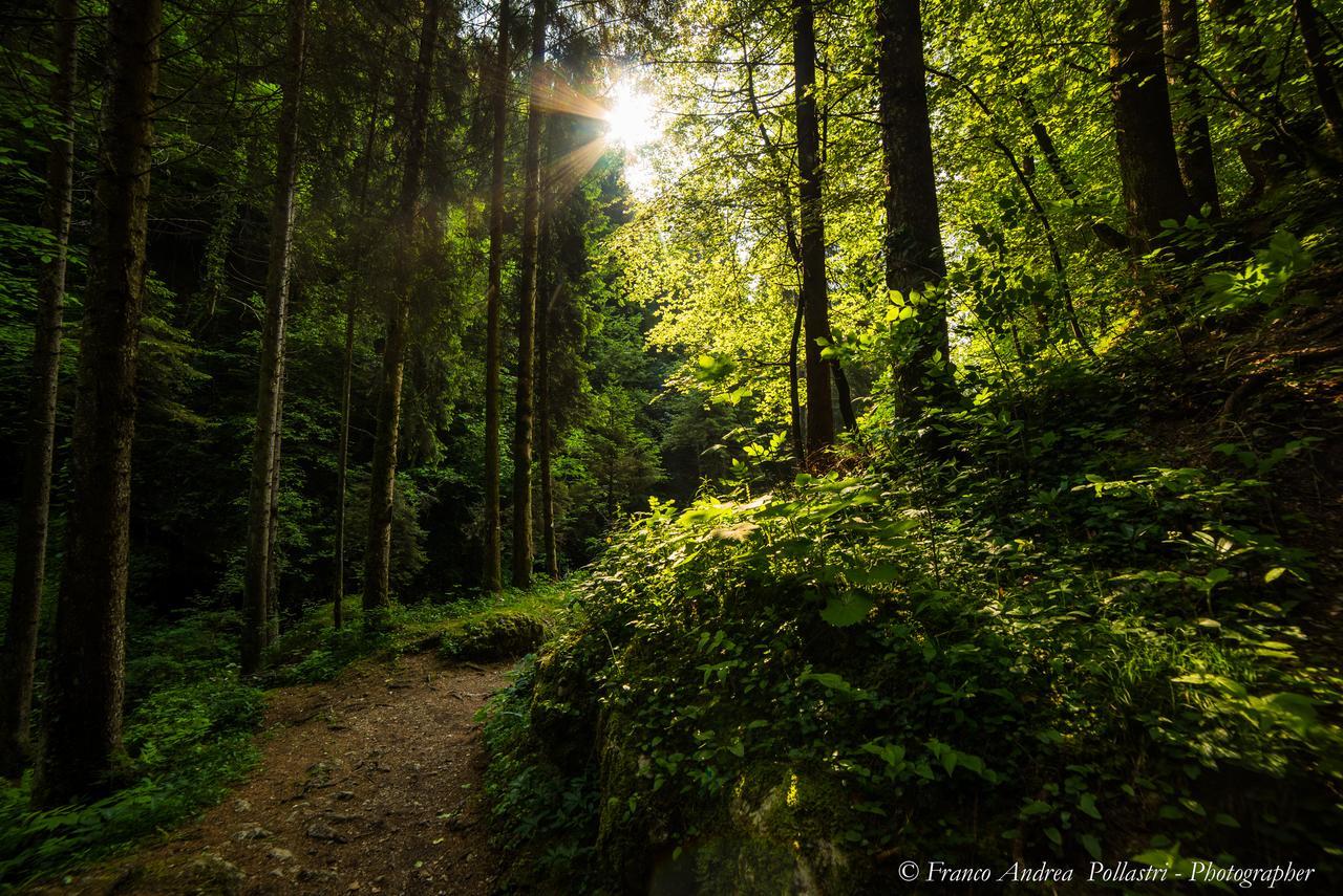 Toli Apart-hotel Pieve Di Ledro
